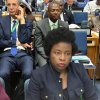 REPORT BY THE MINISTER OF FINANCE TO THE AFRICAN UNION EXECUTIVE COUNCIL